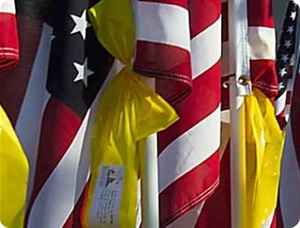 Dedication ribbons on flags