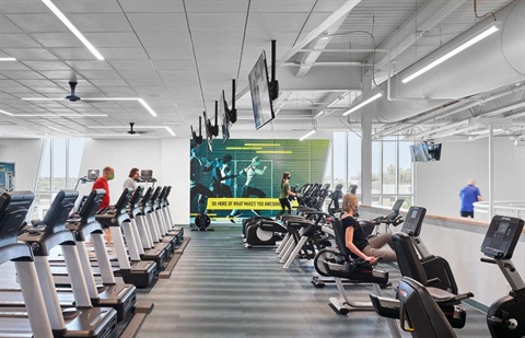 Cardio Equipment - Treadmills and bicycles