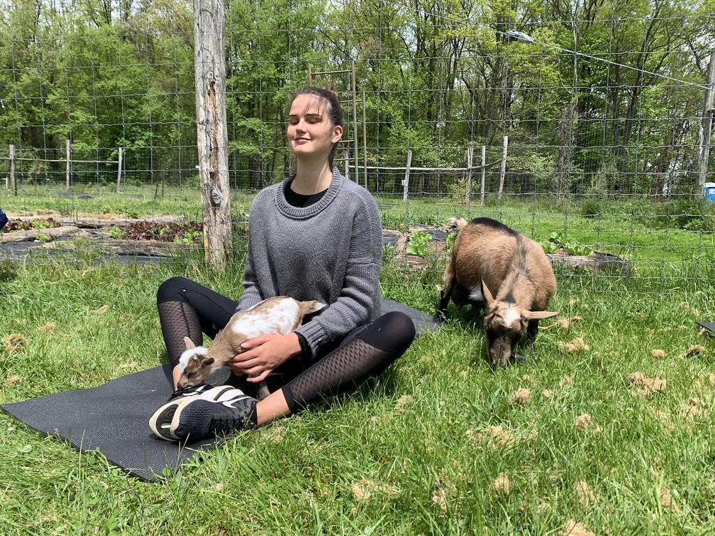 Lady in yoga pose with 2 baby goats