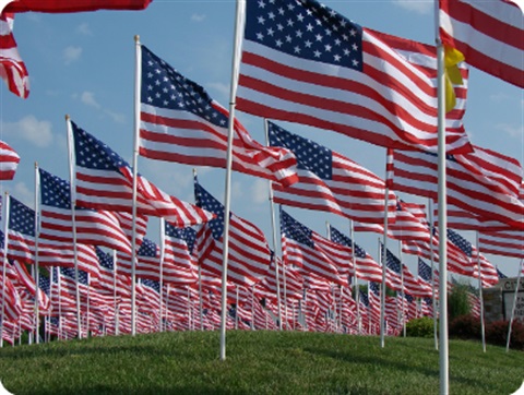 Rows of American Flags blowing in the wind from ground looking up to flags