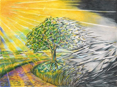 Dreams Move From Left to Right