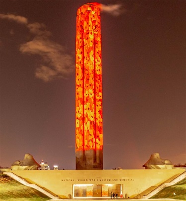 Poppies on WW1 Museum