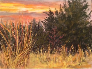 Golden Grasses