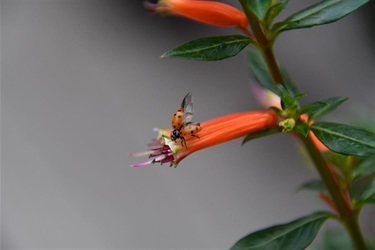 Sticking the Landing