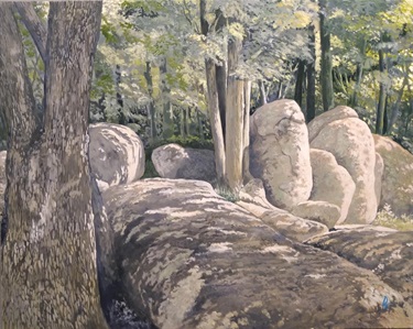 Elephant Rock 4