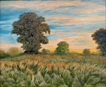 Evening Glow