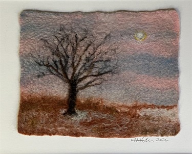 Lone Tree in Winter Kansas