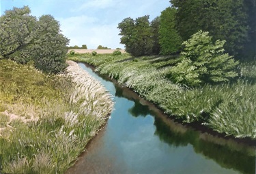 Placid Waters
