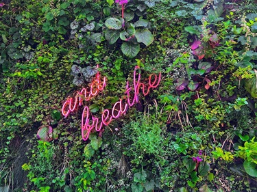 By: Michelle Schwartz