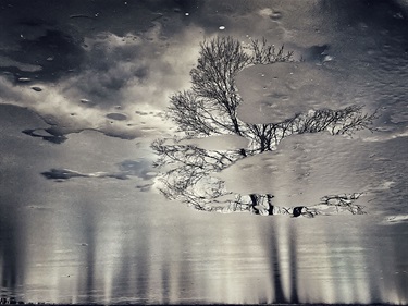 By: Michelle Schwartz