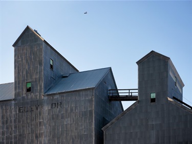 Grain 329 Williston ND