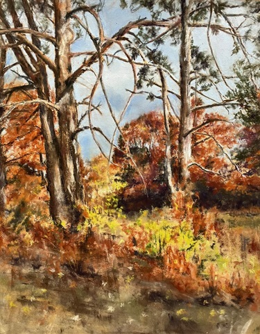 Fall-Forest-Helen-Major