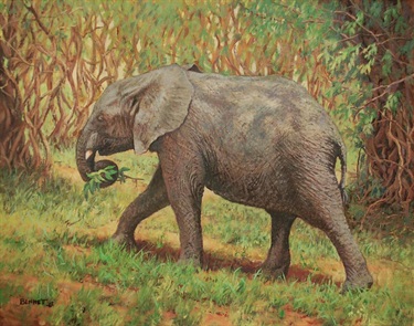 A Snack on the Move Elephant