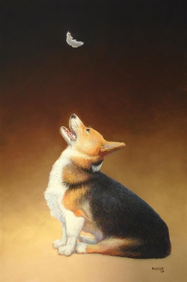 Corgi and Feather