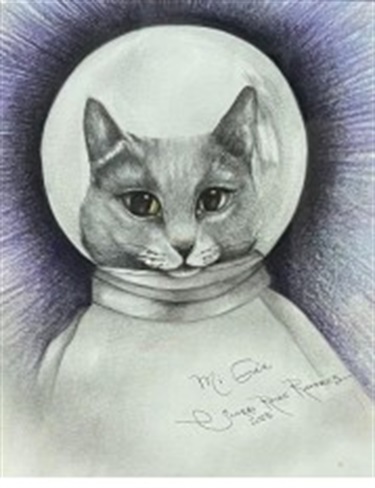 Cosmic Cat Gaia