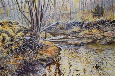 Deepwater Roots Reflections