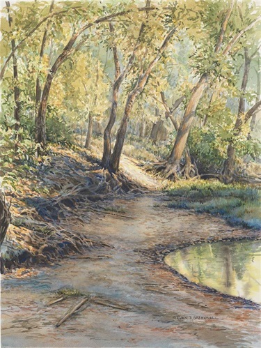 Deer Creek Bank