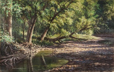 Deer Creek Pools