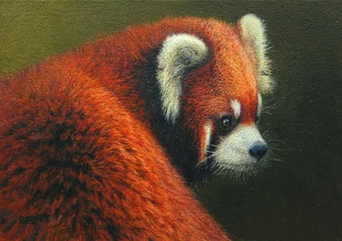 Pondering Panda