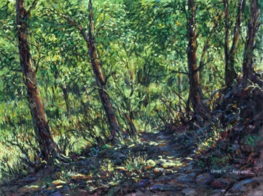 Wooded Slope