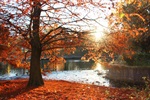 Fall colors by the pond at Antioch Park