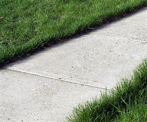 sidewalk closeup with green grass on either side.