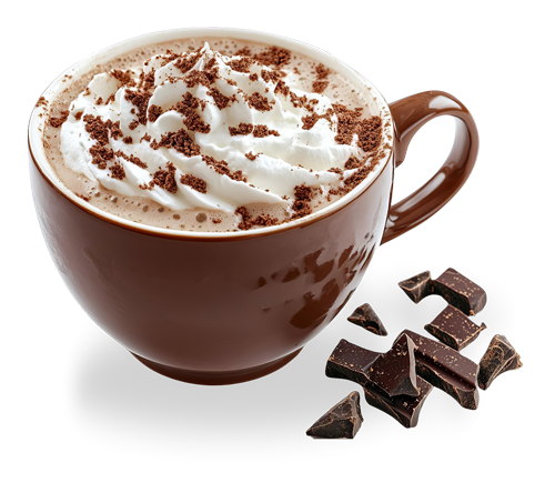 mug of hot chocolate