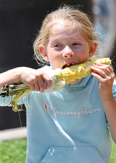 a toothless little girl eating corn on the cob